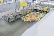 Würzenbach: Schwemmholzrückhalt am neu geplanten Einlaufbauwerk während eines Hochwassers im Laborversuch. (Bild: PD)