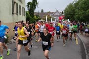 Die Läuferschar fand ideale Laufbedingen vor. (Bild: pd)