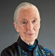 Jane Goodall (83). (Bild: Jane Goodall Institute)