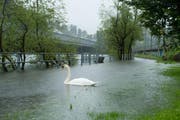 2013 trat die Reuss zwischen Luzern und Emmen über die Ufer. (Bild: Archiv / Neue LZ / Dominik Wunderli)