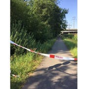 Die Tat ereignete sich 60 Meter vor der Brücke Reusseggstrasse: Hier ist die Frau vom Velo gerissen worden.