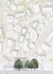 Rigiplatz Cham: Grundriss mit der vorgesehenen Bauminsel sowie der Einfahrt zur Tiefgarage Kirchbühl/Rigiplatz (Bild: Visualisierung PD)