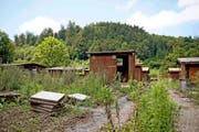 Nur noch wenig erinnert an die Sommerfeste, die in den Gärten gefeiert wurden. (Bild: Corinne Glanzmann)