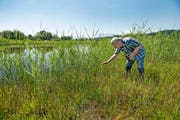 Reservatspfleger Niklaus Troxler weiss, wo die versteckten Bewohner im Naturschutzgebiet Ronfeld zu finden sind. (Bild: Nadia Schärli)