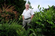Theo Niederberger wird mit dem Anerkennungspreis der Gemeinde Horw ausgezeichnet. (Bild: Archiv Boris Bürgisser/Neue LZ)