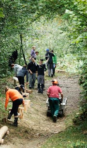 Die Oberstufenschüler bauen in Walchwil einen Erlebnispfad. Bild: Stefan Kaiser (5. Oktober 2016)