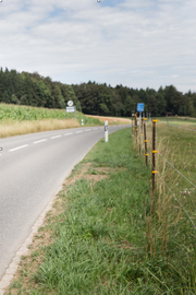 Die Kantonsstrasse, hier in Müswangen. (Bild: Manuela Jans-Koch/NLZ, 3. August 2016))