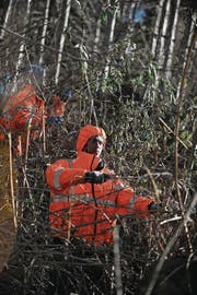 Asylbewerber bei einem Freiwilligeneinsatz. (Bild: Corinne Glanzmann (Giswil, 11. Dezember 2013))