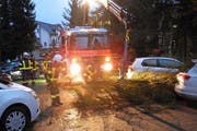 Die Stützpunktfeuerwehr Küssnacht musste an die Bahnhofstrasse in Küssnacht ausrücken, weil eine Tanne auf vier parkierte Autos stürzte. (Bild: Kapo Schwyz)