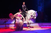 Manege frei: Dressurreiter Paolo Finardi und sein Pferd werden von einer Flamenco-Tänzern begleitet.Bild: PD