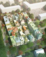 Das Projekt «Feldhäuser» mit Wohnblöcken, Reihen- und Einfamilienhäusern. (Bild: Visualisierung PD)