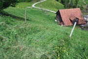 Diesen steilen Abhang ist der Bauer mit seiner Landwirtschaftsmaschine hinabgestürzt. Dabei wurde er schwer verletzt. (Bild: Luzerner Polizei)