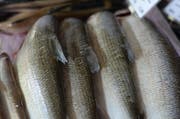 Retro in Küche und Restaurant fängt schon beim Einkauf ein: zum Beispiel bei Fisch aus hiesigen Gewässern. (Bild: Antonio Russo)