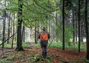 Für die Pirsch sollen die Regeln im Kanton Zug angepasst werden. (Bild: Alexandra Wey/Keystone (Neudorf, 26. Oktober 2016))