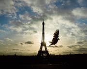 Eiffelturm wird eingesperrt (Bild: Daniel Ochoa de Olza/AP (13. November 2016))
