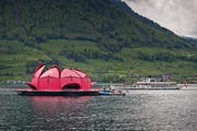 Während das Dampfschiff Unterwalden vorbeifährt, öffnet die Seerose ihre Blätter. (Bild: Pius Amrein / Neue LZ)