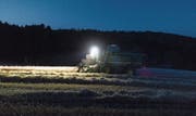 Ein Bauer schneidet Gerste und trennt Korn von Stroh. (Bild: Gaetan Bally/Keystone (Villigen, 14. Juli 2014))