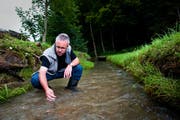 Franz Häfliger, Präsident des Fischereiverbands des Kantons Luzern, im Rykenbach in Ebersecken. (Bild: Archiv Roger Grütter / Neue LZ)