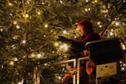 Ein 15-köpfiges Dekorationsteam der Migros schmückt den Baum. (Bild: PD)