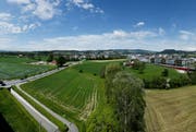 Das Gebiet Unterfeld soll überbaut werden. (Bild: Stefan Kaiser / Neue ZZ)