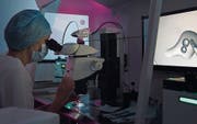 Hier werden Kinder gemacht: eine Embryologin bei der Arbeit im Labor. (Bild: PD)