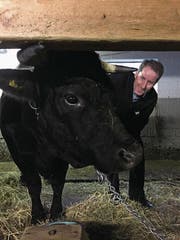 Thomas Aeschi mit seiner Lulu im Stall. (Bild: PD/Thomas Aeschi)