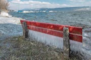 Die schönen Seiten der Kälte: Eiszapfen am Ufer des Sempachersees in Nottwil. (Bild: Pius Amrein (26. Februar 2018))
