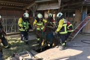 Die Einsatzkräfte retten das Kalb unversehrt aus der Grube. (Bild: Feuerwehr Cham)