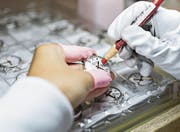 Mondaine Watch musste wegen der neuen Ursprungsregeln einige Modelle aus dem Sortiment entfernen. (Bild: Michele Limina/Bloomberg)