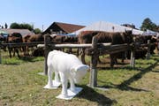 So sieht der Jungtier-Rohling aus Fiberglas aus. (Bild: pd)