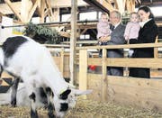 Auch Paul Twerenbold, Verwaltungsratspräsident der Zuger Messe, zieht es in die Tierhalle. Auf dem Arm hat er seine Enkelin Valentina. Begleitet wird er auf dem Rundgang von seiner Tochter Liliane Twerenbold. Sie hat Julia auf dem Arm. (Bild: Alina Rütti)