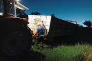 Die Landwirte haben mit vielfältigen Problemen zu kämpfen. (Bild: Keystone)