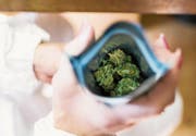 Künftig steht der Besitz von unter 10 Gramm Cannabis im Kanton Zug nicht mehr unter Strafe. (Symbolbild: Christian Beutler/Keystone)