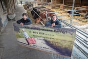 Simon (links) und Elias Birrer verbringen ihre letzten Tage auf dem Althof. (Bild: Boris Bürgisser (Ebikon, 27. Februar 2018))