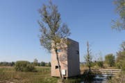 Der neue Holzturm der Vogelwarte Sempach im Wauwilermoos. (Bild: Michael Schaad / Vogelwarte)