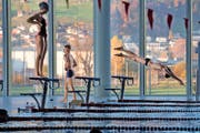 Auch frühmorgens ist das Hallenbad Allmend gut besucht. Oft sind mehrere Bahnen für Vereine reserviert. (Bild Nadia Schärli)
