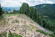 Am Hang über der Hergiswaldstrasse sind Lawinen- und Steinschlagschutzverbauungen erstellt worden. (Bild: Roger Grütter (Kriens, 13. Juli 2017))