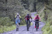 Die Biker Rene Zimmermann, Reto Indergand und Linda Indergand (v.l.n.r.) im Rahmen der Direttissima Nord auf auf einer Waldstrasse beim Hinter Etzliboden in Silenen UR. (Bild: Alexandra Wey/Keystone (Silenen, 11. September 2015))