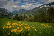 Die Biosphäre Entlebuch beispielsweise trägt zur Biodiversität in der Schweiz bei. Im Bild ist der Blick in Richtung Flühli im Gebiet Salwideli. (Archivbild / Pius Amrein / Neue LZ)