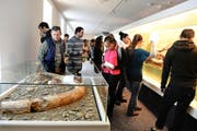 Besucher bestaunen Exponate im Natur-Museum Luzern, darunter einen Mammutzahn (vorne). (Bild Nadia Schärli)