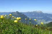 Blick in Richtung Stanserhorn (Bildmitte) und Pilatus. (Bild: Leserbild Hans Steiner)