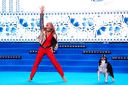 Yvonne Belin und ihre Hündin Alice beim Auftritt im Juni an den Weltmeisterschaften in Moskau. (Bild: Kazuto Kagiyama)