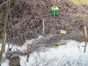 Dieser Elektrozaun am Förndlibach soll Biber davon abhalten, den Damm höher zu bauen. (Bild: Christine Schneider (Root, 12. Dezember 2017))