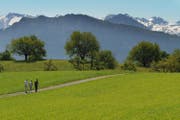 In Vordermeggen entsteht bis 2017 ein 9-Loch-Golfplatz (Bild: Archiv Neue LZ)