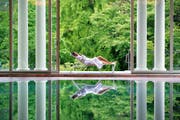 Ein erholsames Wochenende für 2 Personen in Baden-Baden mit Anreise, Aufenthalt im 4-Sterne-Hotel, Thermen, Casino und Taschengeld: das ist der Hauptpreis im Wettbewerb des SBB Reisemagazins.