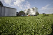 Das kantonale Gymnasium in Menzingen. (Bild Stefan Kaiser/Neue ZZ)