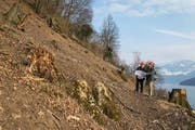 Bauingenieur Alois Käslin (links) und der Weggiser Gemeindeammann Baptist Lottenbach begutachten den Baufortschritt im Gebiet Laugneri in Weggis. (Bild Philipp Schmidli)