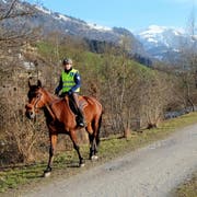 Auch beim Reiten gibts offenbar so etwas wie einen "Lern-Fahrausweis" (Bild: Leserbild: Sepp Bernasconi)