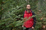 Forstingenieur Michiel Fehr im Luzerner Gütschwald: «Ich habe Respekt vor den Bäumen, bin ihnen gerne nahe und schaue in die Kronen hinauf – ich kann aber auch gut mit der Motorsäge umgehen.» (Bild: Pius Amrein / Neue LZ)