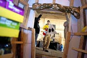 Mäsi Bucher (links), Randy Freimann und Manuel Eberle haben viele Stunden in den Wagen investiert. (Bild Maria Schmid)